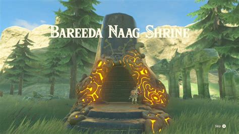 breath of the wild bareeda naag shrine|Iba pa.